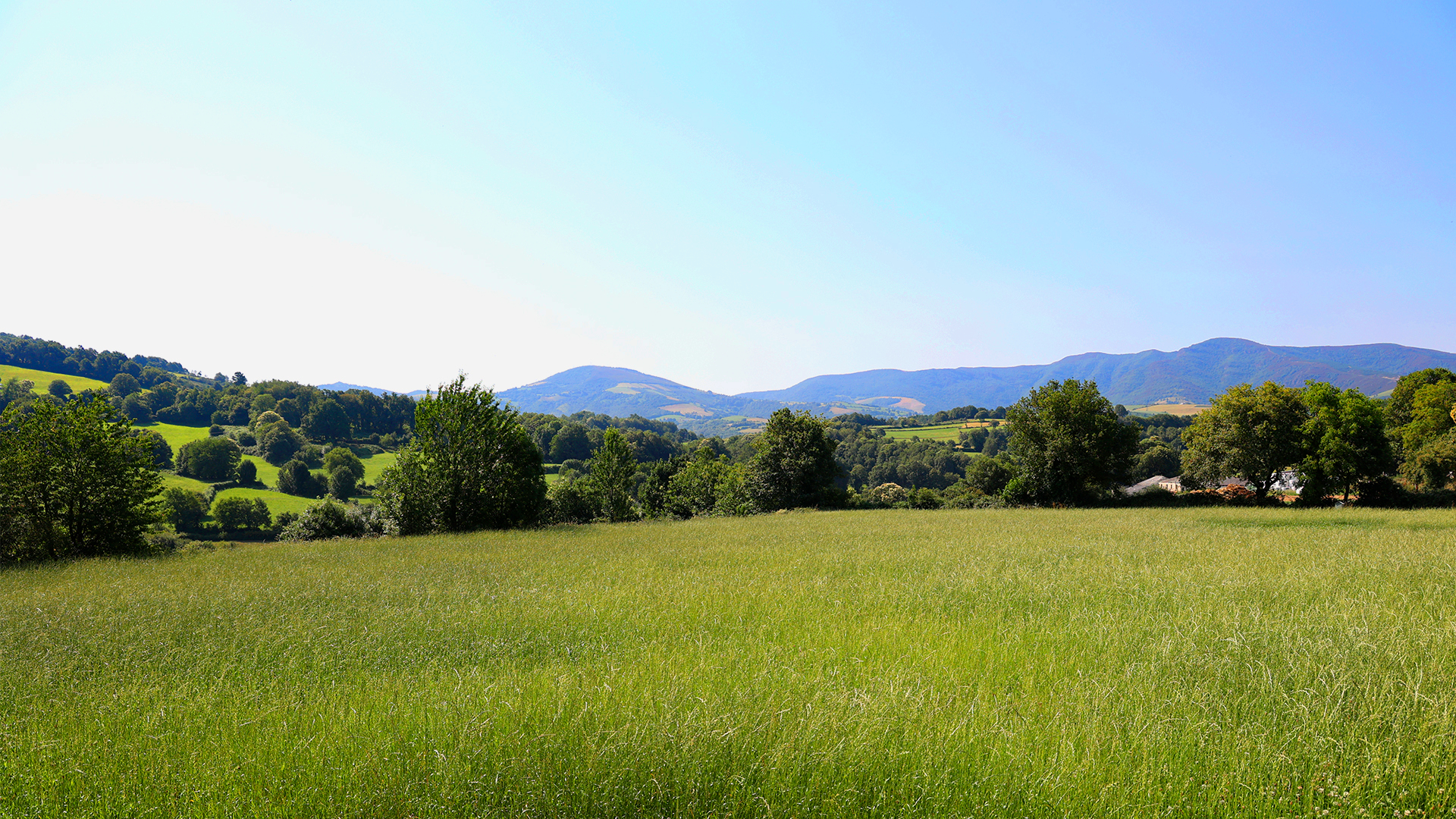 Paisaje que rodea la Casa Rural Os prados da Albela