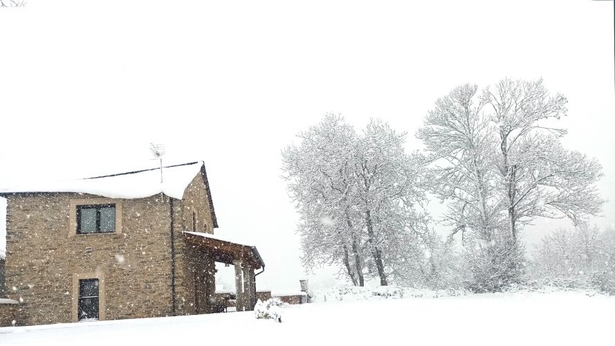 Actividades de Invierno