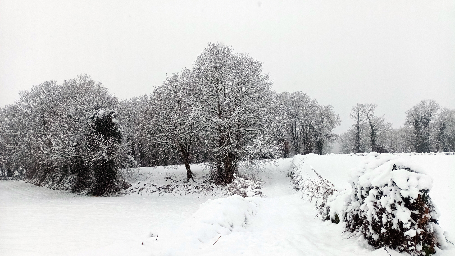 san salvador de toldaos nevado triacastela lugo 02